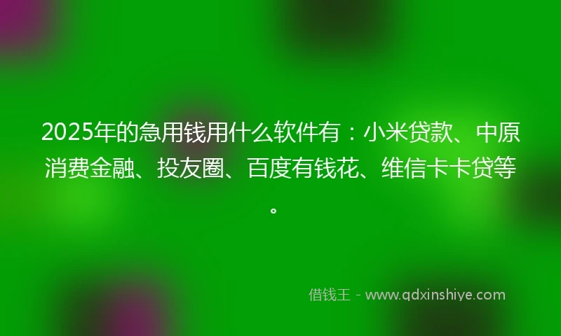 2025年的急用钱用什么软件有：小米贷款、中原消费金融、投友圈、百度有钱花、维信卡卡贷等。