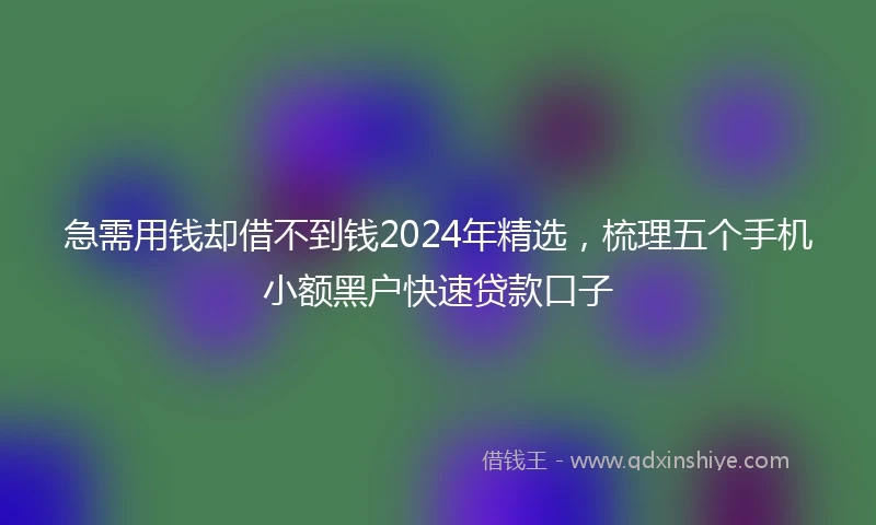 急需用钱却借不到钱2024年精选，梳理五个手机小额黑户快速贷款口子