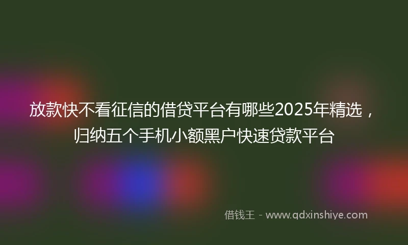 放款快不看征信的借贷平台有哪些2025年精选，归纳五个手机小额黑户快速贷款平台