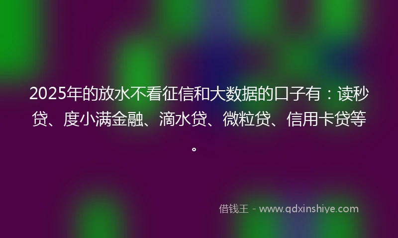 2025年的放水不看征信和大数据的口子有：读秒贷、度小满金融、滴水贷、微粒贷、信用卡贷等。