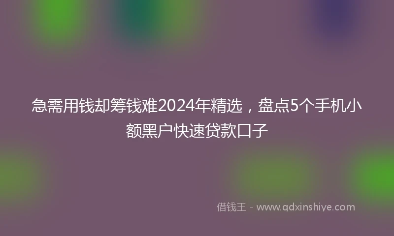 急需用钱却筹钱难2024年精选，盘点5个手机小额黑户快速贷款口子