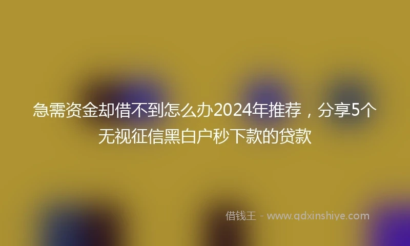 急需资金却借不到怎么办2024年推荐，分享5个无视征信黑白户秒下款的贷款