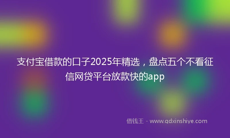 支付宝借款的口子2025年精选，盘点五个不看征信网贷平台放款快的app