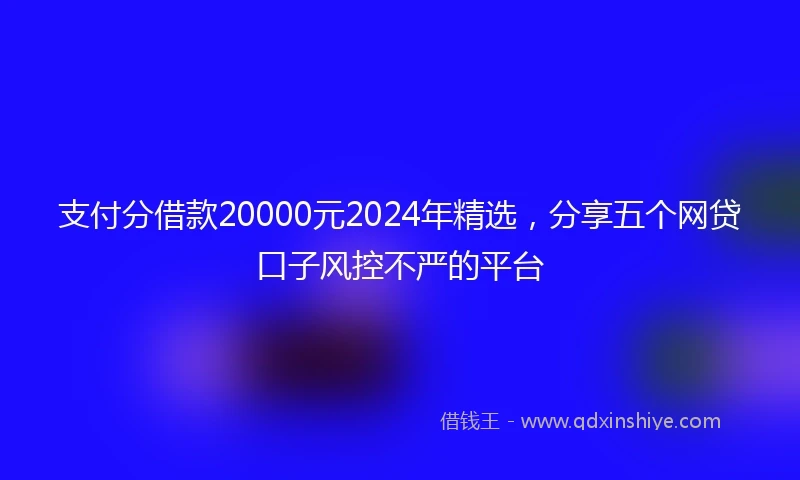 支付分借款20000元2024年精选，分享五个网贷口子风控不严的平台