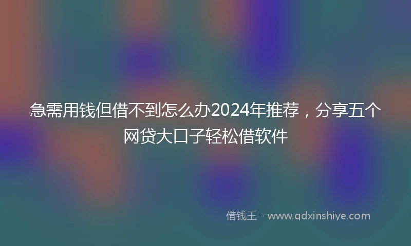 急需用钱但借不到怎么办2024年推荐，分享五个网贷大口子轻松借软件