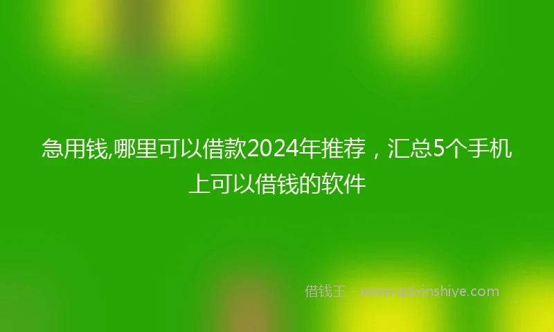 急用钱,哪里可以借款2024年推荐，汇总5个手机上可以借钱的软件