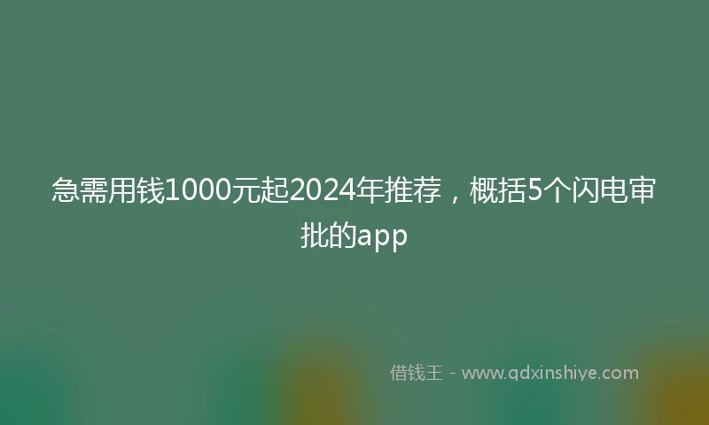 急需用钱1000元起2024年推荐，概括5个闪电审批的app