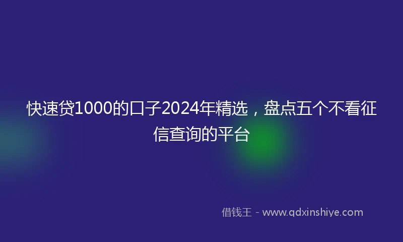 快速贷1000的口子2024年精选，盘点五个不看征信查询的平台