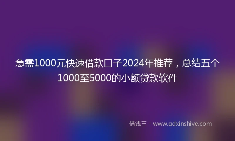急需1000元快速借款口子2024年推荐，总结五个1000至5000的小额贷款软件