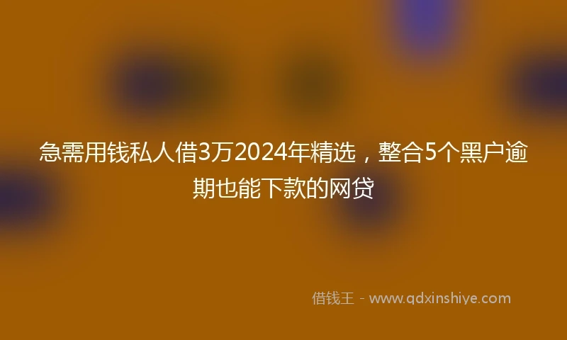 急需用钱私人借3万2024年精选，整合5个黑户逾期也能下款的网贷