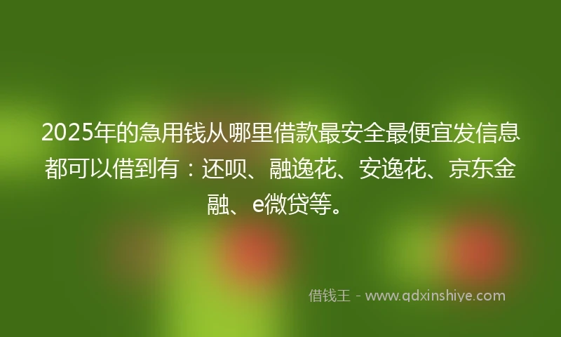 2025年的急用钱从哪里借款最安全最便宜发信息都可以借到有：还呗、融逸花、安逸花、京东金融、e微贷等。