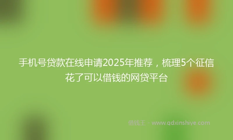手机号贷款在线申请2025年推荐,梳理5个征信花了可以借钱的网贷平台