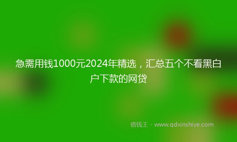 急需用钱1000元2024年精选，汇总五个不看黑白户下款的网贷