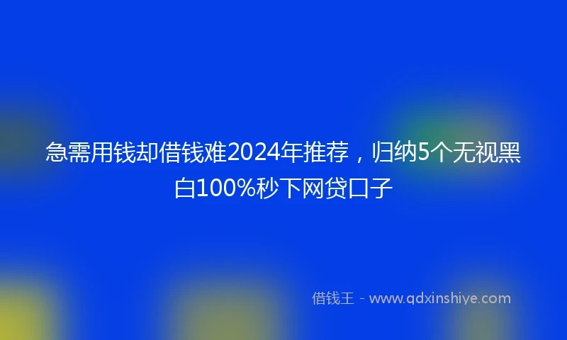 急需用钱却借钱难2024年推荐，归纳5个无视黑白100%秒下网贷口子