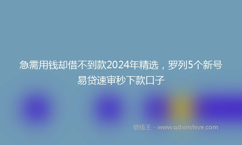 急需用钱却借不到款2024年精选，罗列5个新号易贷速审秒下款口子