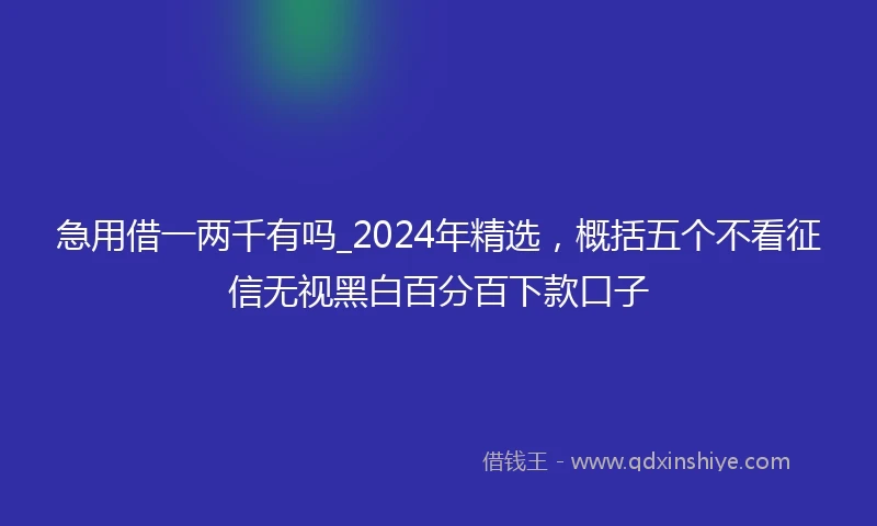 急用借一两千有吗_2024年精选，概括五个不看征信无视黑白百分百下款口子
