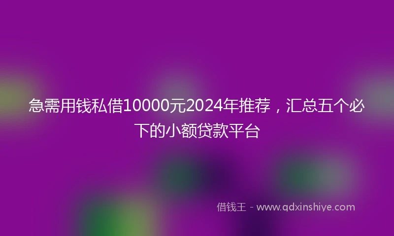 急需用钱私借10000元2024年推荐，汇总五个必下的小额贷款平台