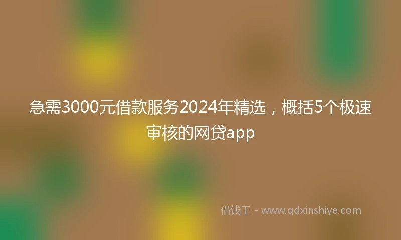 急需3000元借款服务2024年精选，概括5个极速审核的网贷app