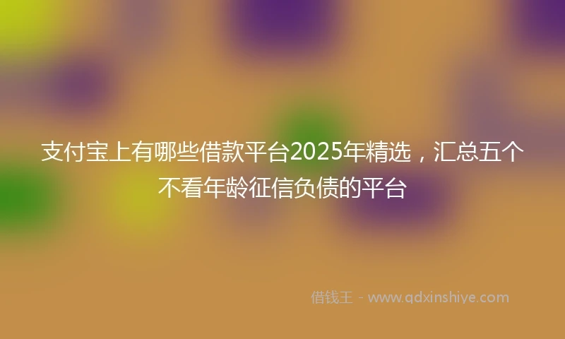 支付宝上有哪些借款平台2025年精选，汇总五个不看年龄征信负债的平台