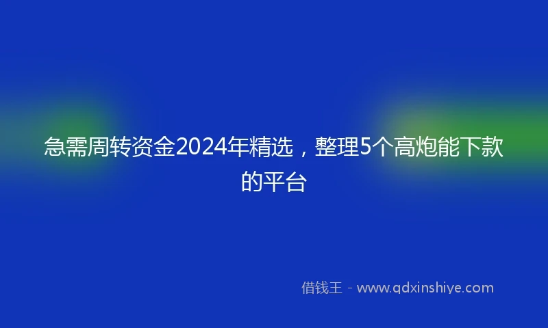 急需周转资金2024年精选，整理5个高炮能下款的平台