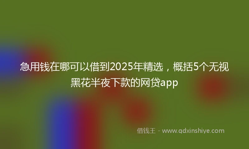 急用钱在哪可以借到2025年精选，概括5个无视黑花半夜下款的网贷app