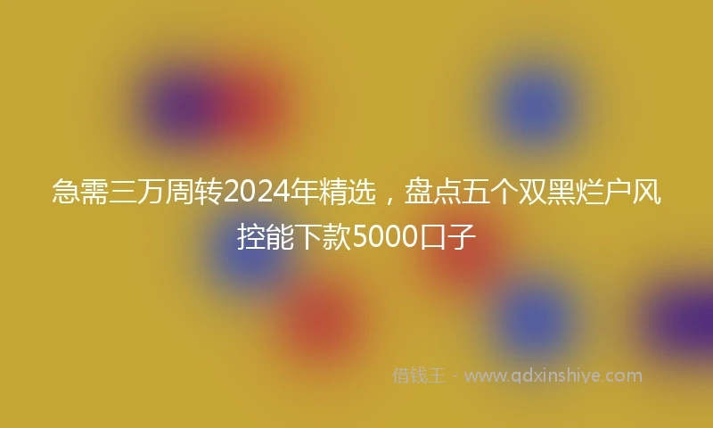 急需三万周转2024年精选，盘点五个双黑烂户风控能下款5000口子