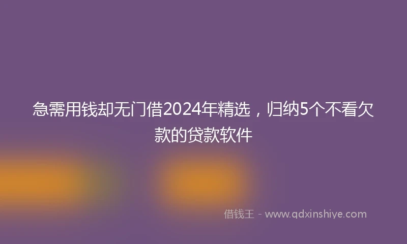 急需用钱却无门借2024年精选，归纳5个不看欠款的贷款软件