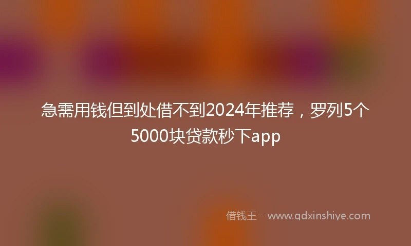 急需用钱但到处借不到2024年推荐，罗列5个5000块贷款秒下app