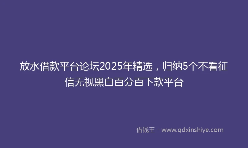 放水借款平台论坛2025年精选，归纳5个不看征信无视黑白百分百下款平台