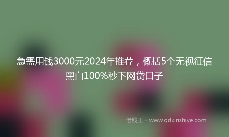 急需用钱3000元2024年推荐，概括5个无视征信黑白100%秒下网贷口子