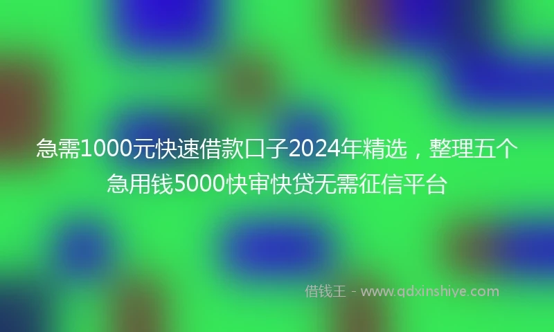 急需1000元快速借款口子2024年精选,整理五个急用钱5000快审快贷无需征信平台