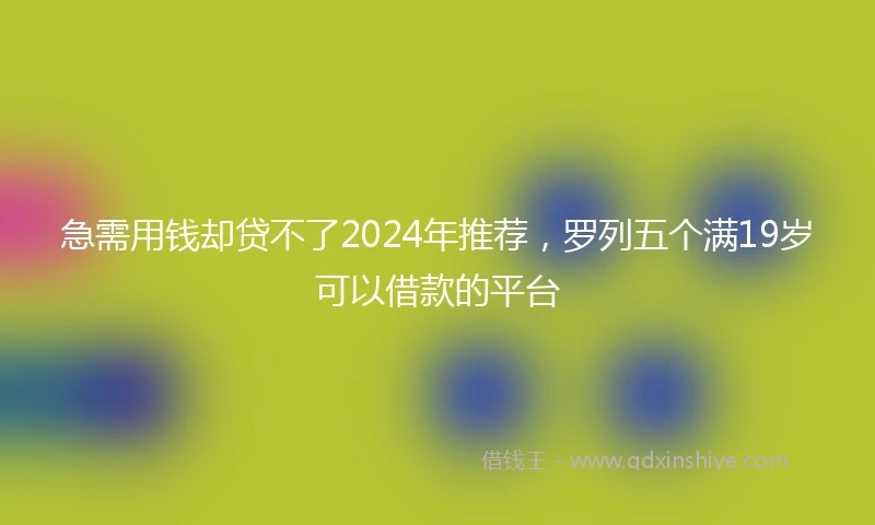 急需用钱却贷不了2024年推荐，罗列五个满19岁可以借款的平台