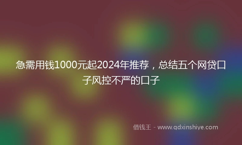 急需用钱1000元起2024年推荐，总结五个网贷口子风控不严的口子