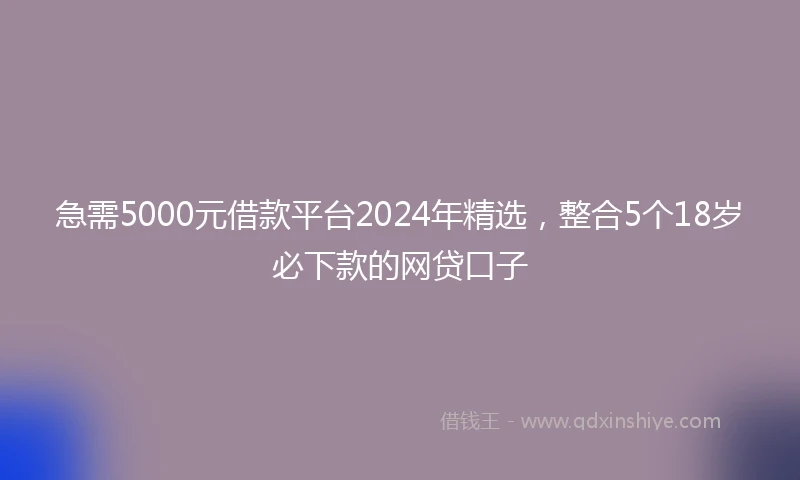 急需5000元借款平台2024年精选，整合5个18岁必下款的网贷口子