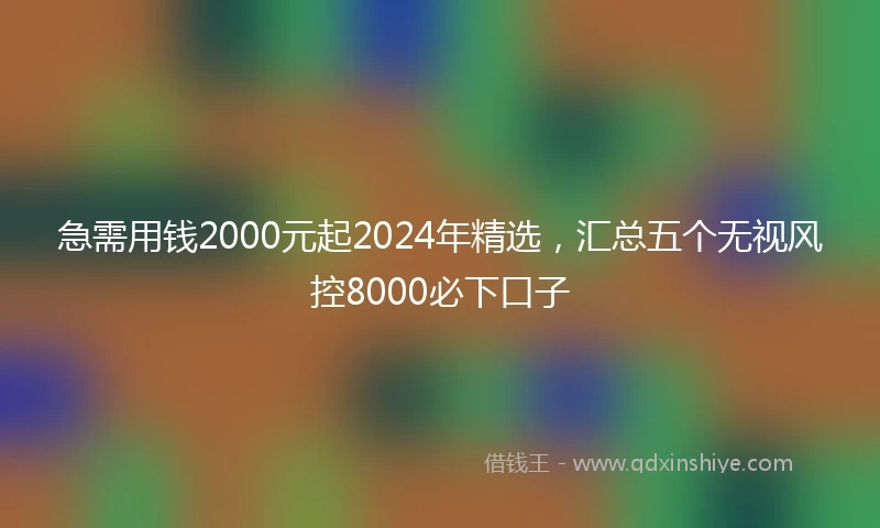 急需用钱2000元起2024年精选，汇总五个无视风控8000必下口子