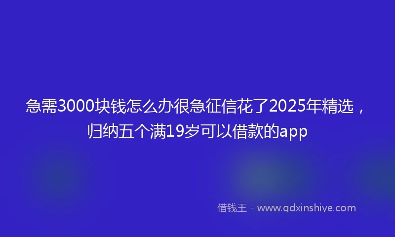 急需3000块钱怎么办很急征信花了2025年精选，归纳五个满19岁可以借款的app