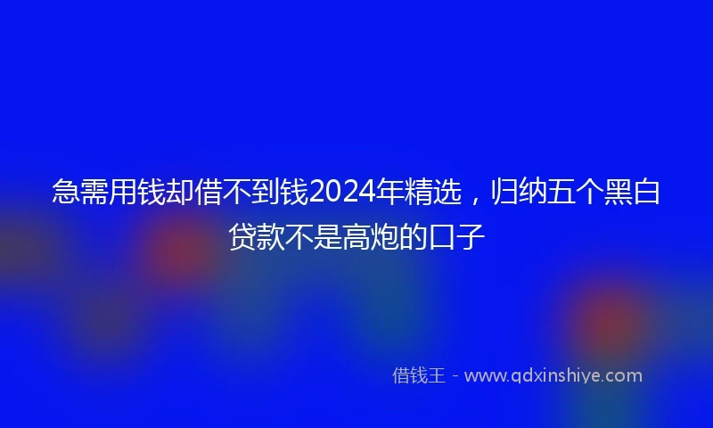 急需用钱却借不到钱2024年精选，归纳五个黑白贷款不是高炮的口子