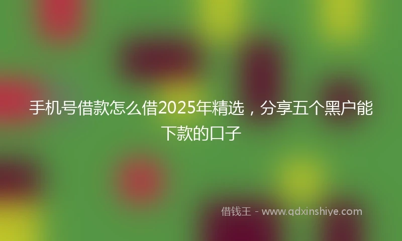 手机号借款怎么借2025年精选，分享五个黑户能下款的口子