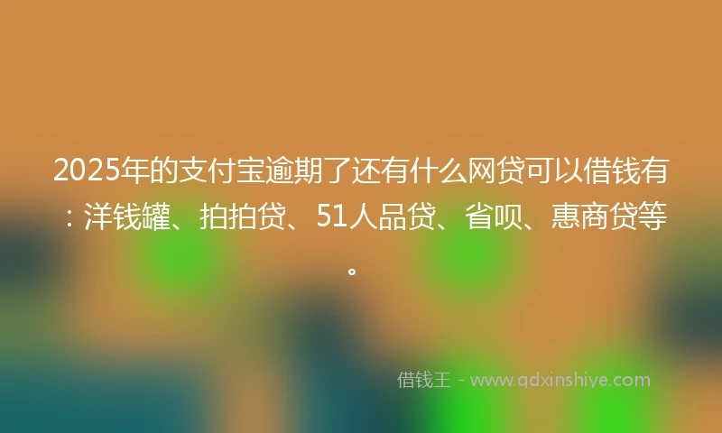 2025年的支付宝逾期了还有什么网贷可以借钱有：洋钱罐、拍拍贷、51人品贷、省呗、惠商贷等。