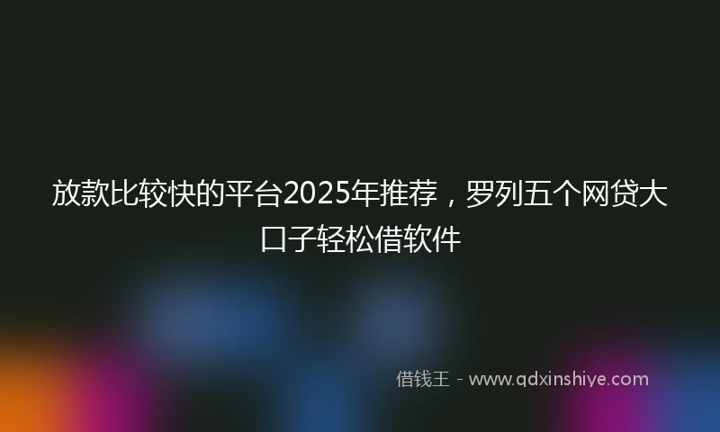 放款比较快的平台2025年推荐，罗列五个网贷大口子轻松借软件