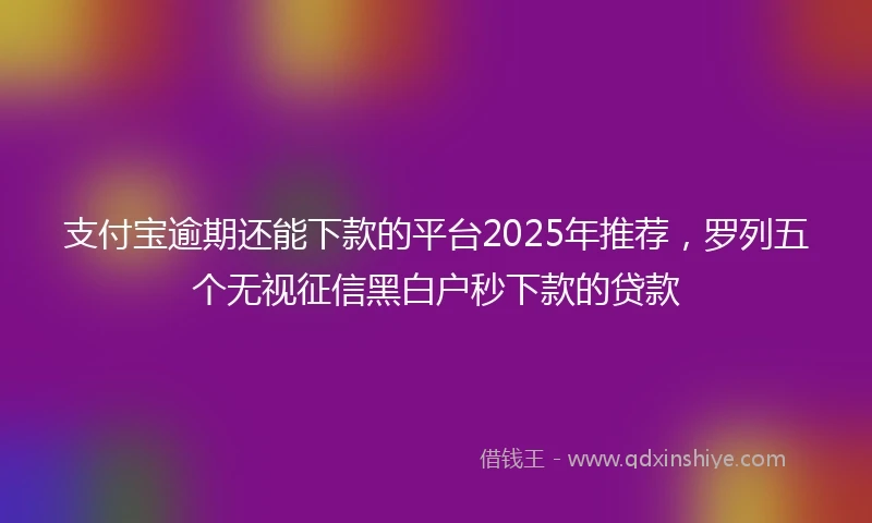 支付宝逾期还能下款的平台2025年推荐，罗列五个无视征信黑白户秒下款的贷款