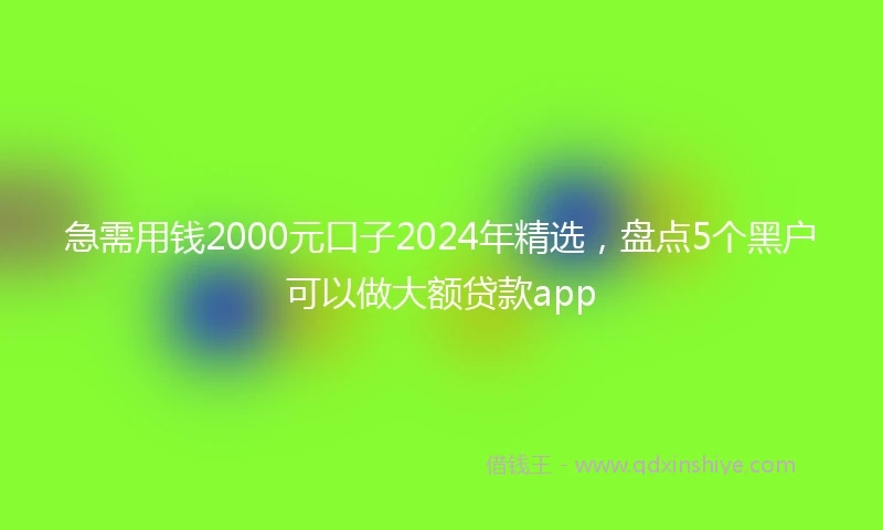 急需用钱2000元口子2024年精选，盘点5个黑户可以做大额贷款app