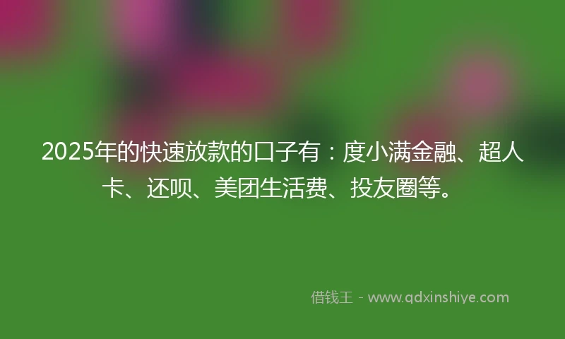2025年的快速放款的口子有：度小满金融、超人卡、还呗、美团生活费、投友圈等。