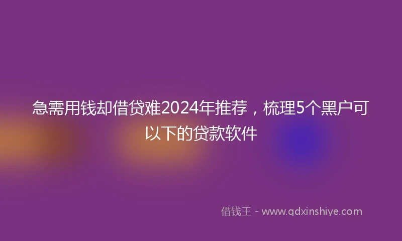 急需用钱却借贷难2024年推荐，梳理5个黑户可以下的贷款软件