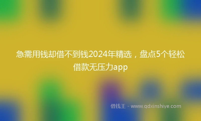 急需用钱却借不到钱2024年精选，盘点5个轻松借款无压力app