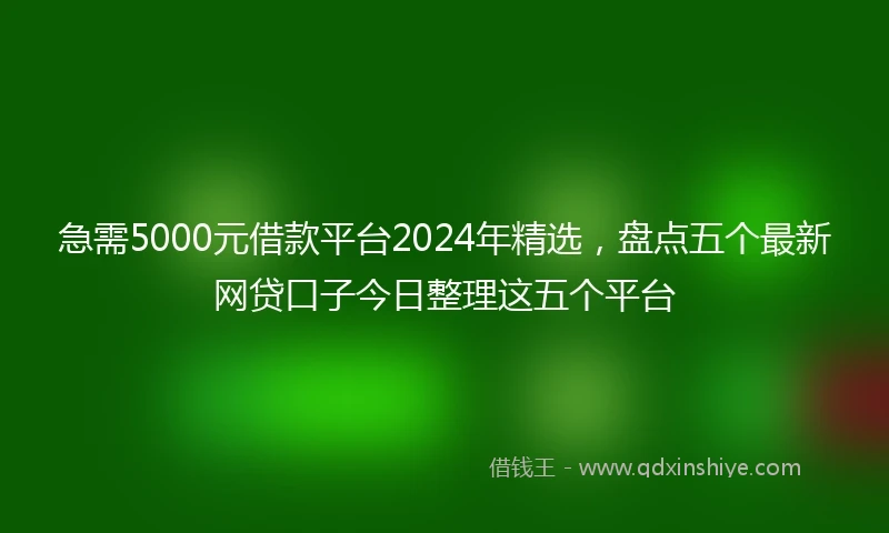 急需5000元借款平台2024年精选，盘点五个最新网贷口子今日整理这五个平台