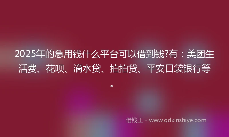 2025年的急用钱什么平台可以借到钱?有：美团生活费、花呗、滴水贷、拍拍贷、平安口袋银行等。