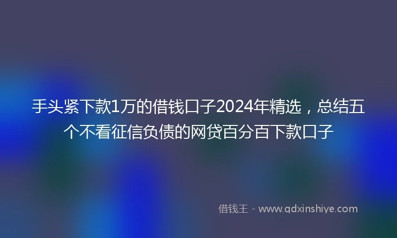 手头紧下款1万的借钱口子2024年精选，总结五个不看征信负债的网贷百分百下款口子