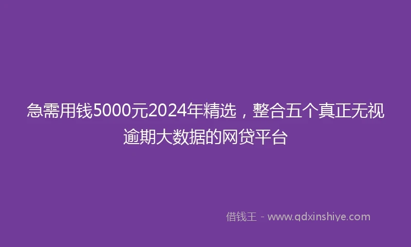 急需用钱5000元2024年精选，整合五个真正无视逾期大数据的网贷平台