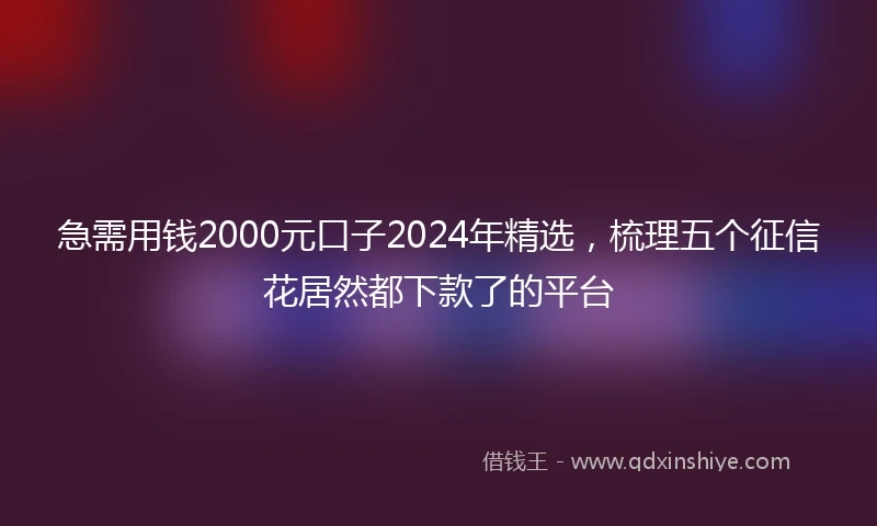 急需用钱2000元口子2024年精选，梳理五个征信花居然都下款了的平台